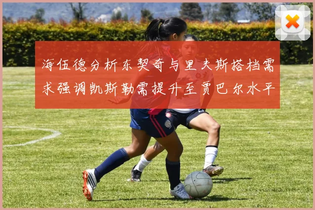 海伍德分析东契奇与里夫斯搭档需求强调凯斯勒需提升至贾巴尔水平