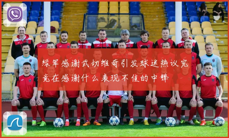 绿军感谢武切维奇引发球迷热议究竟在感谢什么表现不佳的中锋